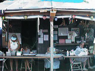  Scenes from 1996 Philly Folk Fest 