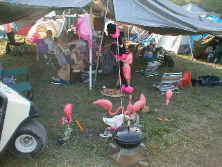  Scenes from 1999 Philly Folk Fest 