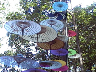  Scenes from 2008 Philly Folk Fest 